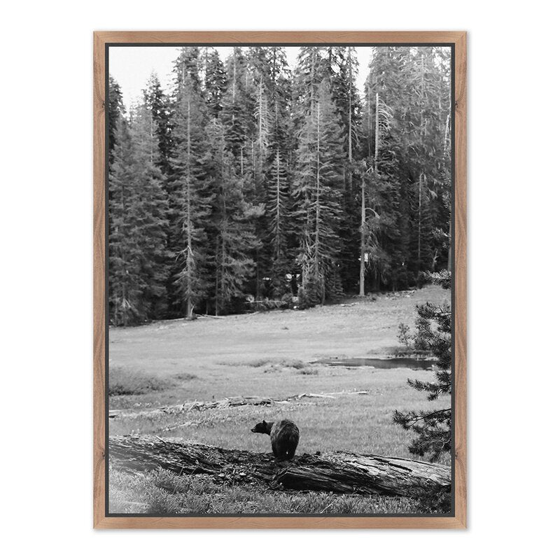 Don'T Feed The Bears By Wesley And Emma Teague