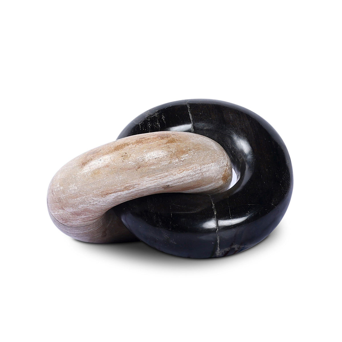 Petrified Wood Knot