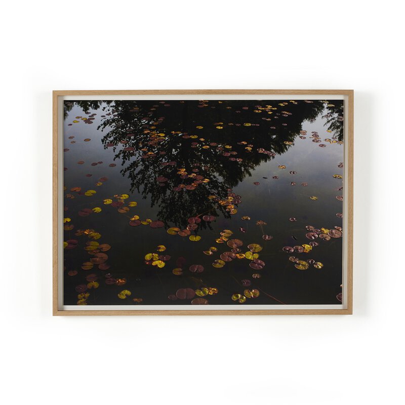 a picture frame with leaves on water
