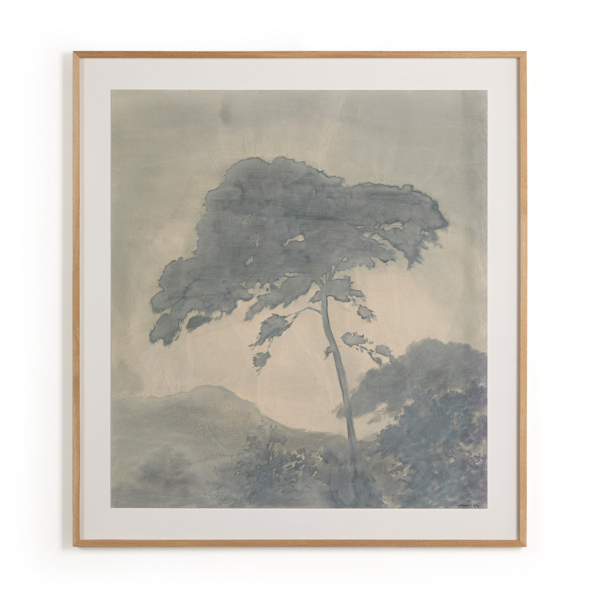 Canopy By Chelsea Fly