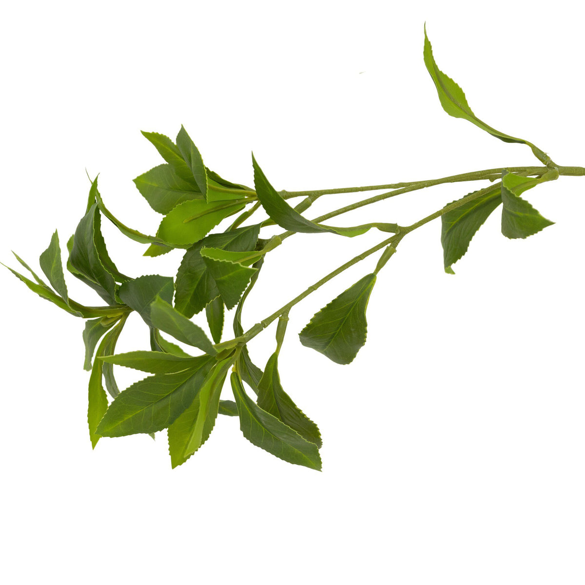 Faux Pieris Tree