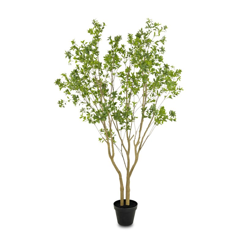 Faux Pieris Tree