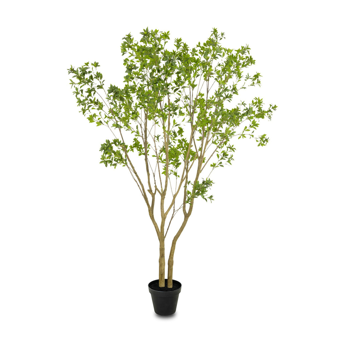 Faux Pieris Tree