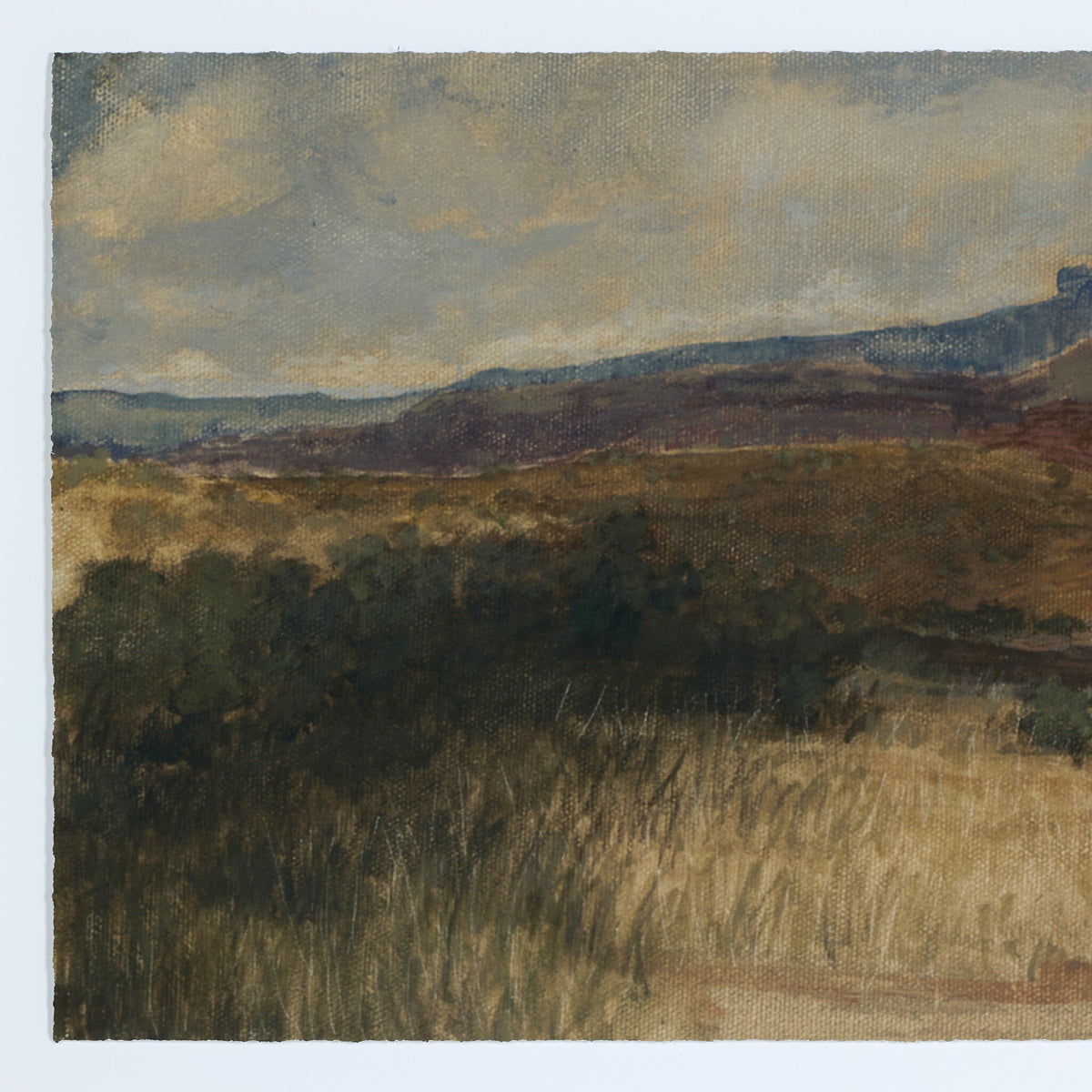 Desert Hues I By Aileen Fitzgerald