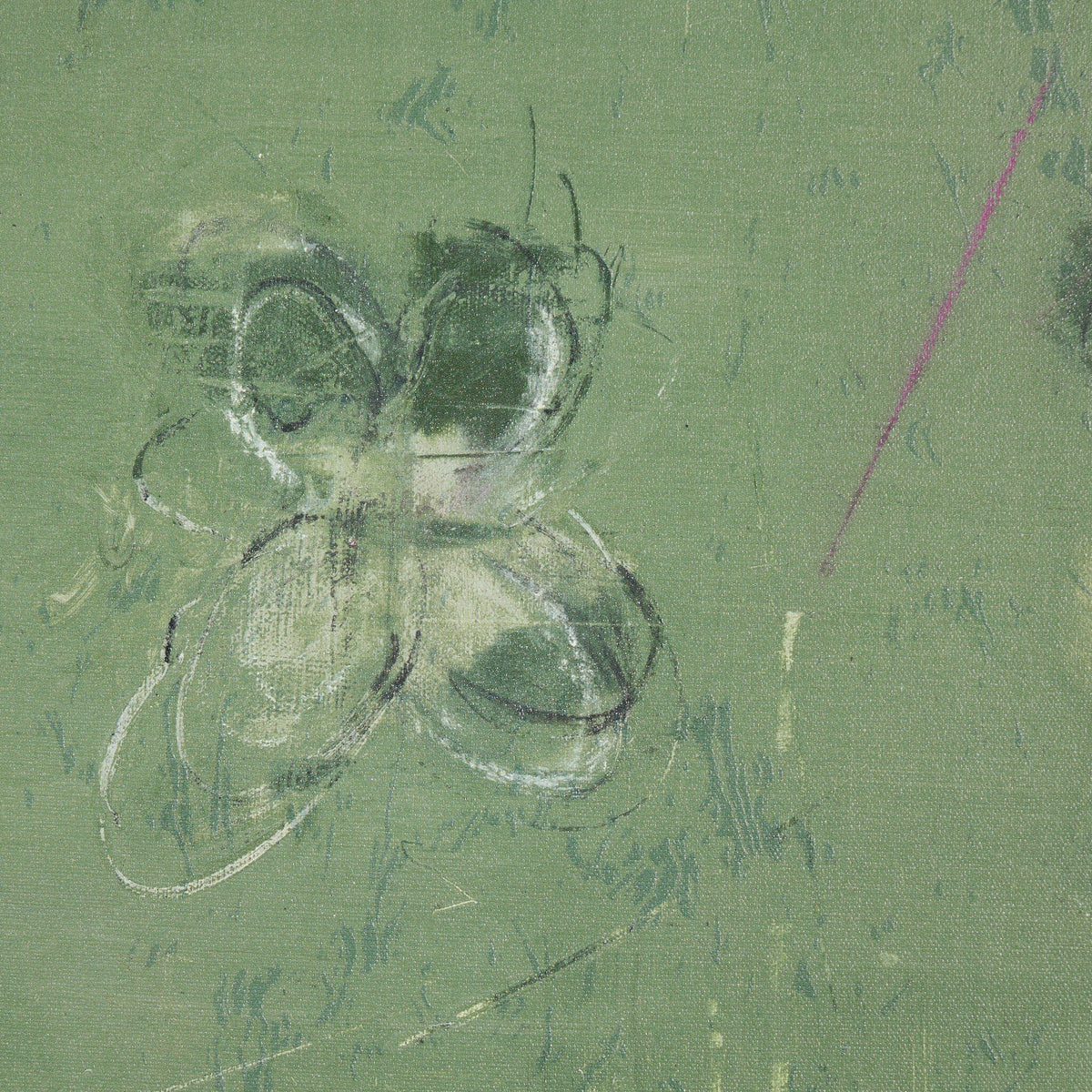 a close-up of a flower