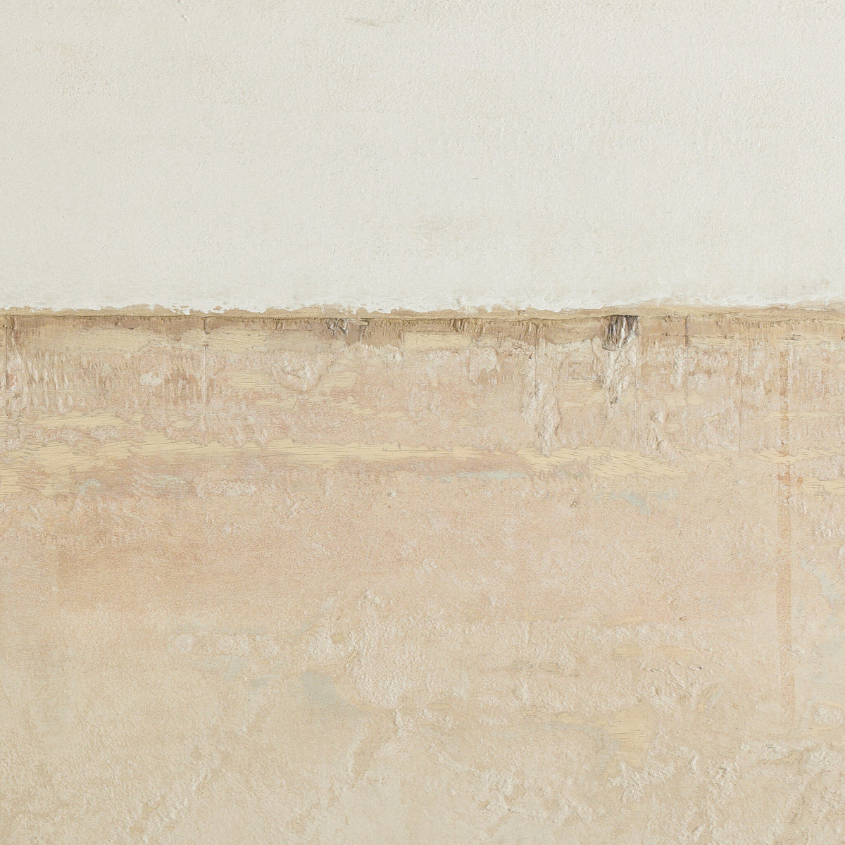 Coastal Desert By Paul Meyer