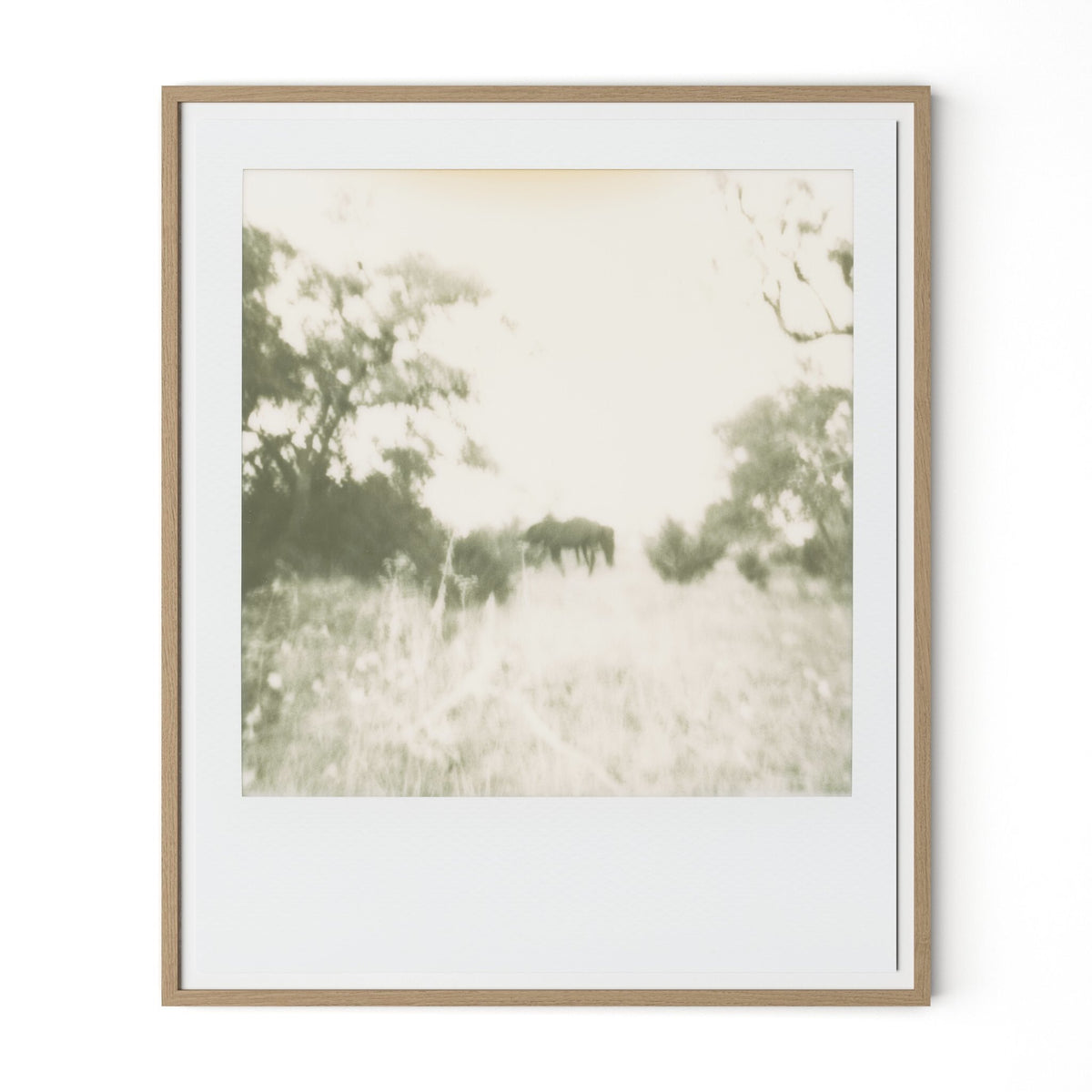 Horses By Darden Smith