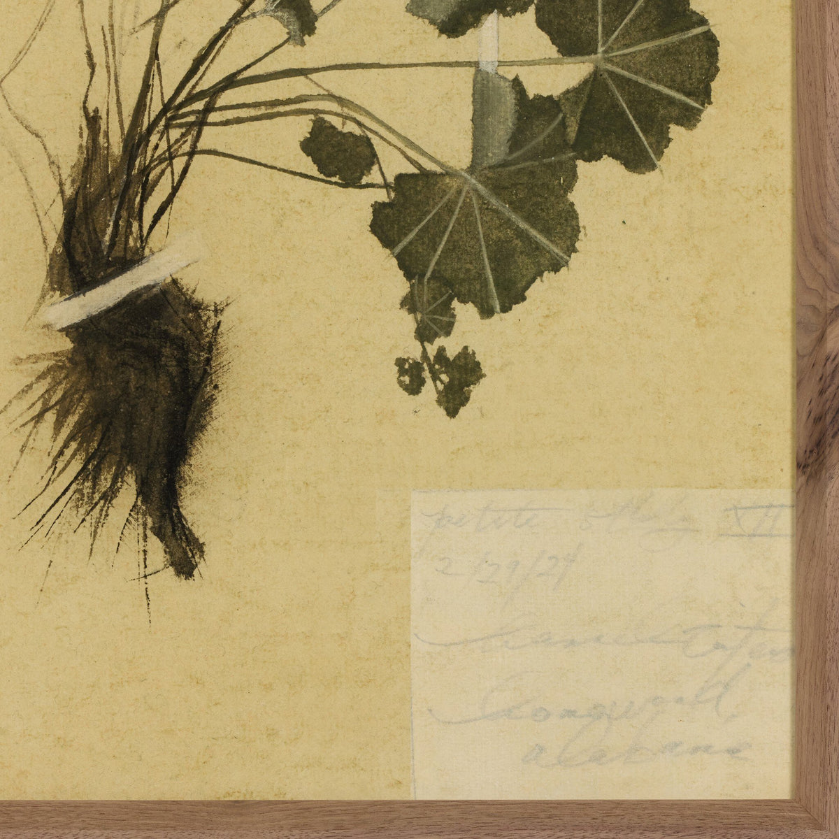 Petite Study No. Vii By Hannah Winters