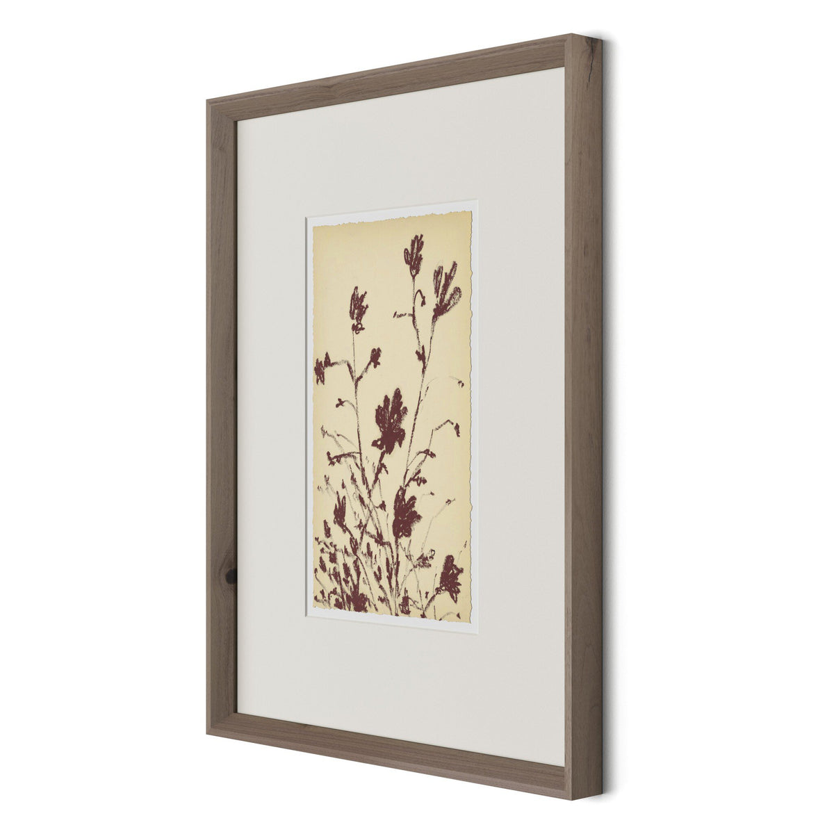 Meadow Rue No.3 By Shaina Page
