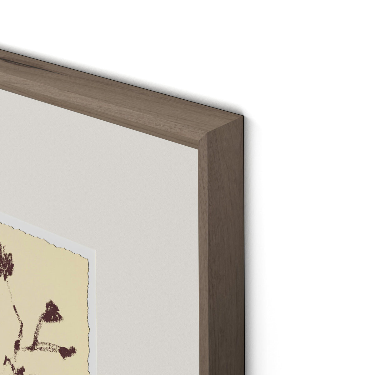 Meadow Rue No.8 By Shaina Page