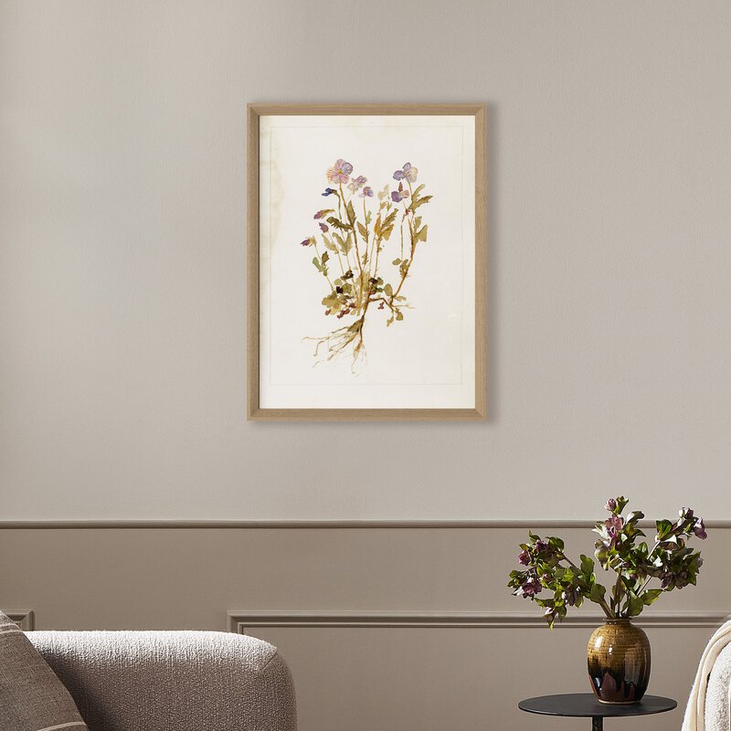 Viola No. 2 By Laurel-Dawn Latshaw