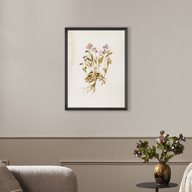 Viola No. 2 By Laurel-Dawn Latshaw
