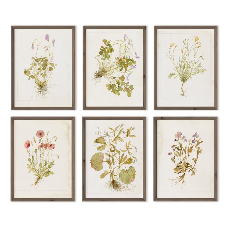 a group of framed pictures of flowers