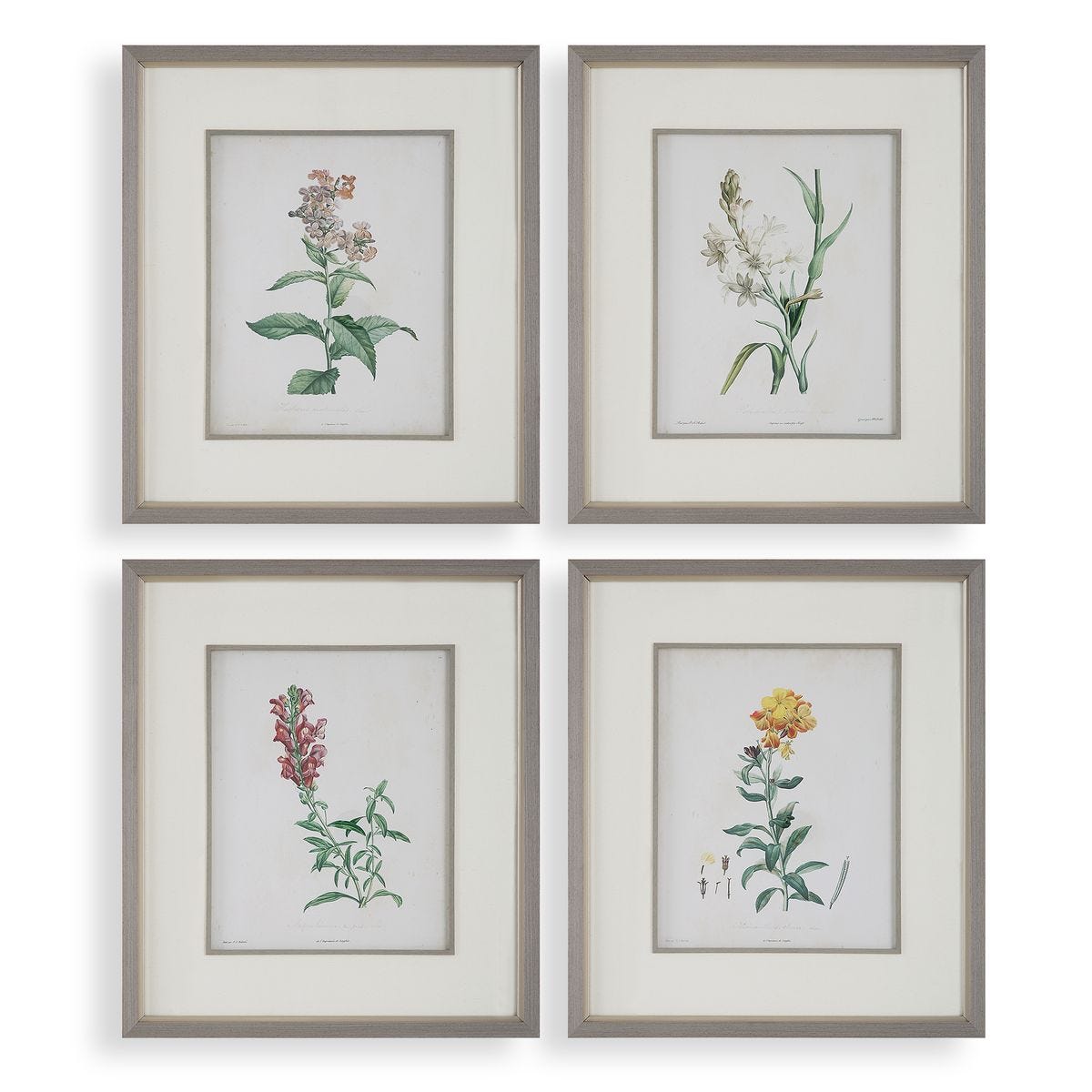 Heirloom Blooms Study Framed Prints, S/4