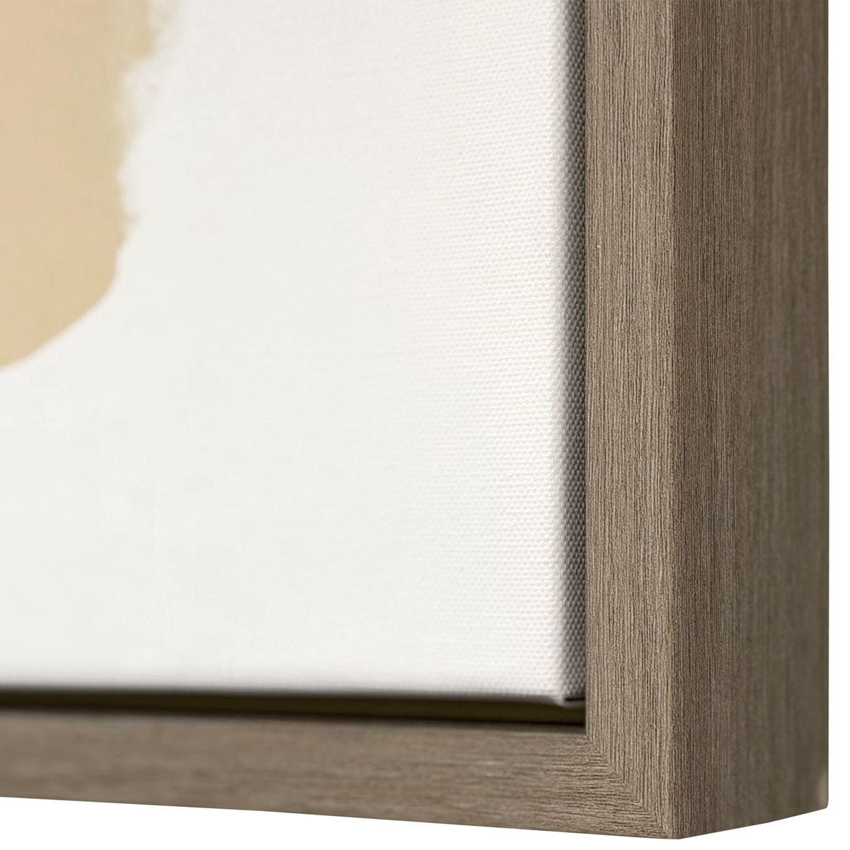 Abstract Afternoon Framed Canvases, S/2