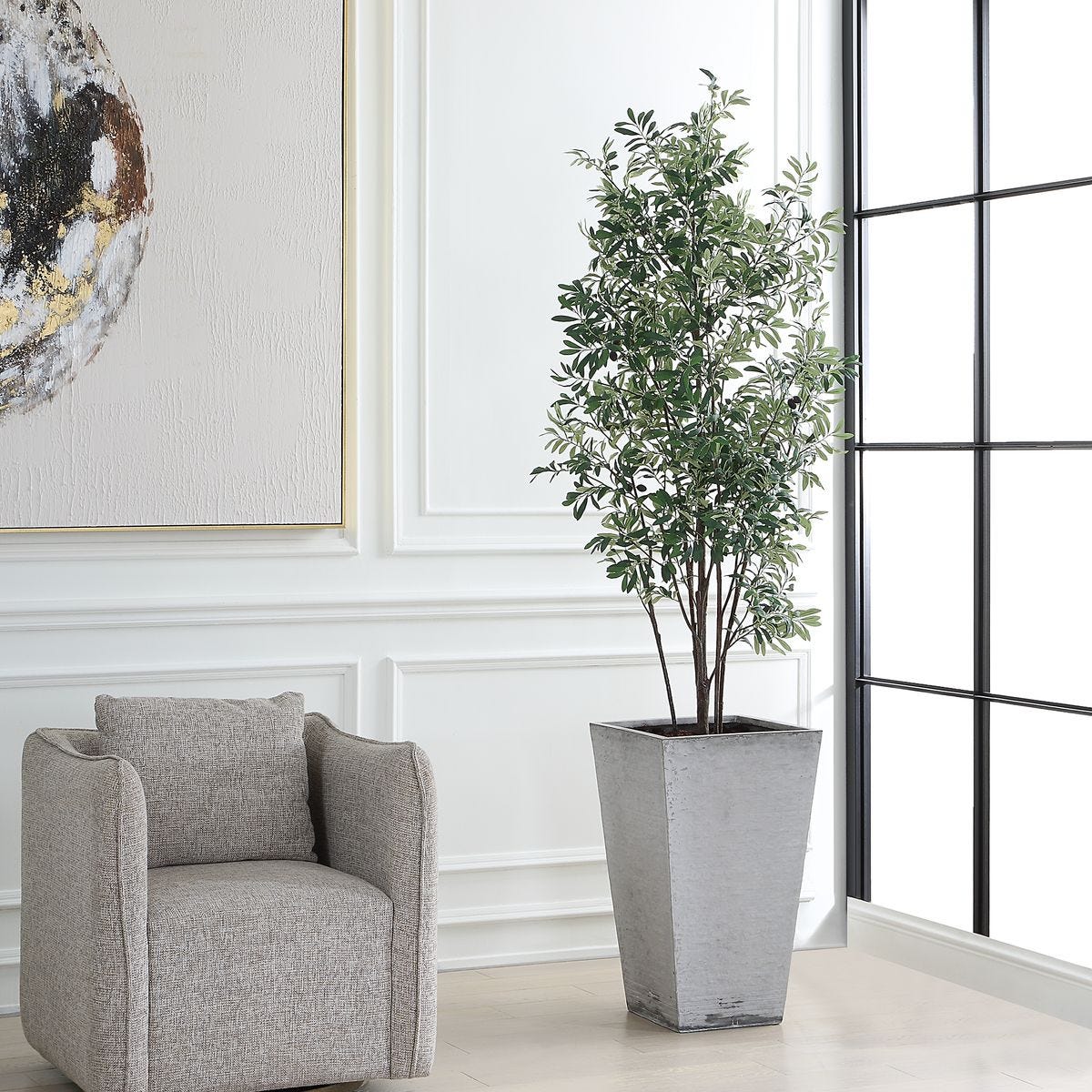 Sonora Olive Tree
