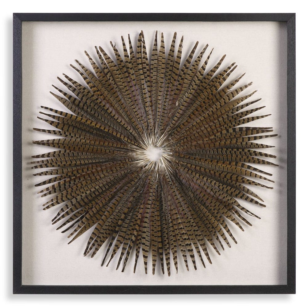 Feather Burst Shadow Box