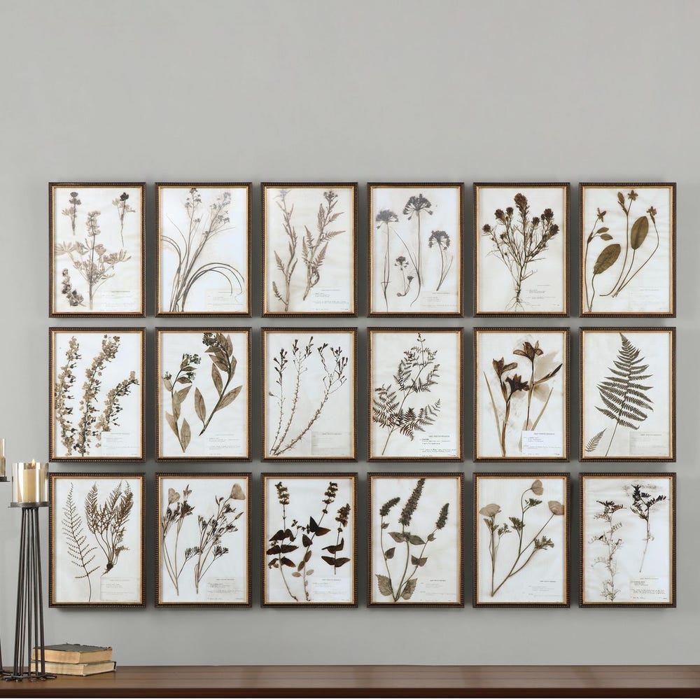 Botany Framed Prints, S/18