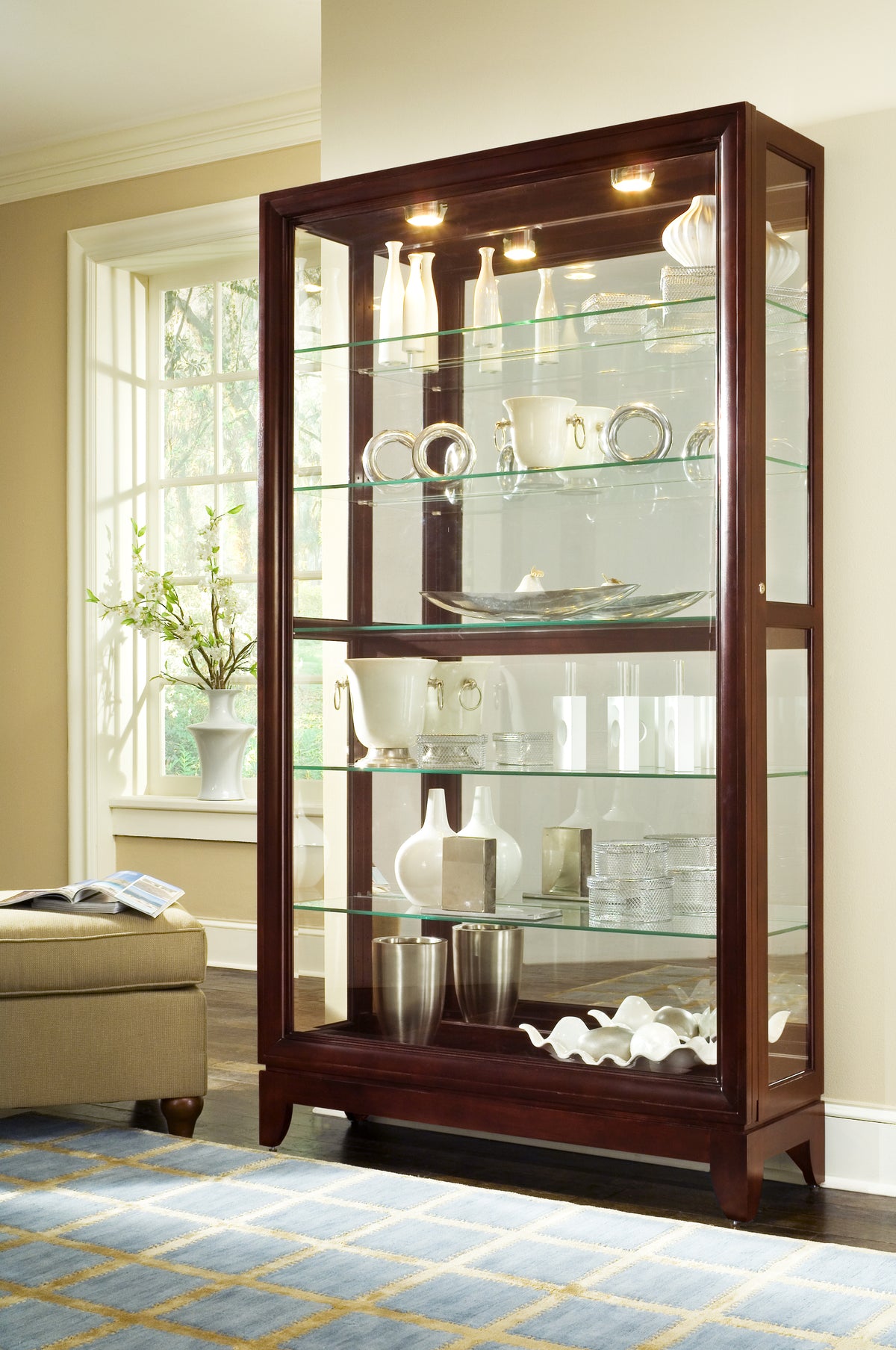 a glass cabinet with a shelf full of objects