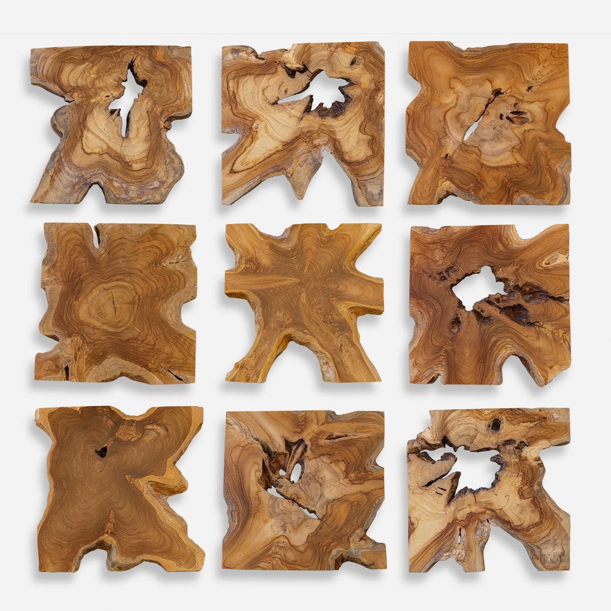 Talia Indoor-Outdoor Wood Wall Decor, S/9