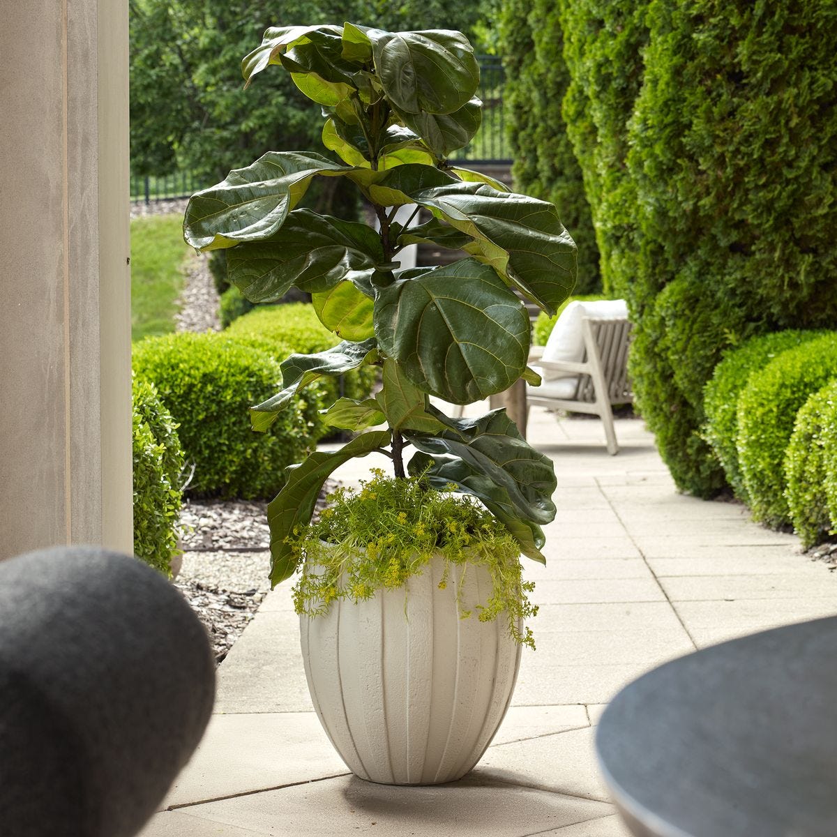 Ridgehaven Indoor-Outdoor Planter