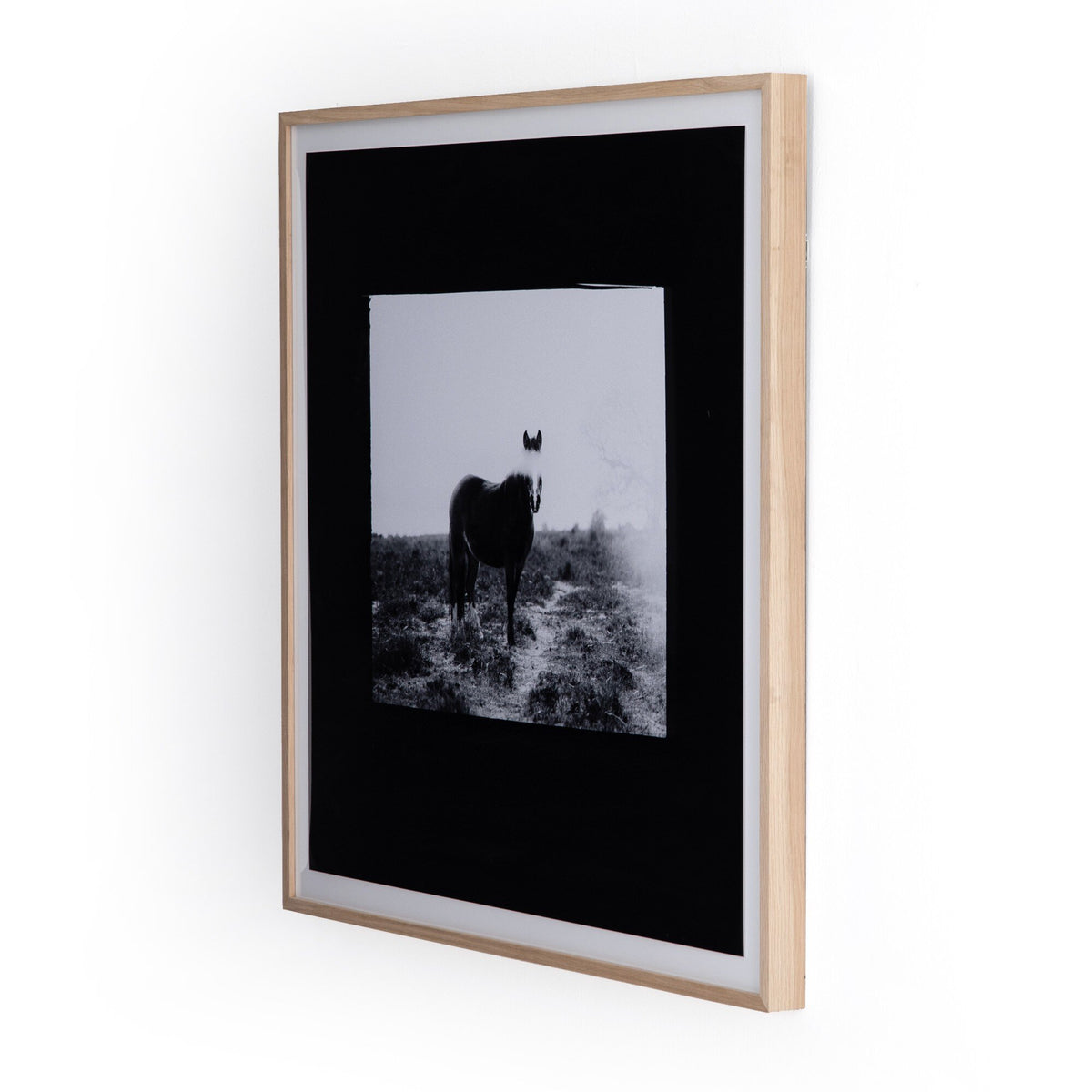 Blank Horse By Annie Spratt Framed Paper