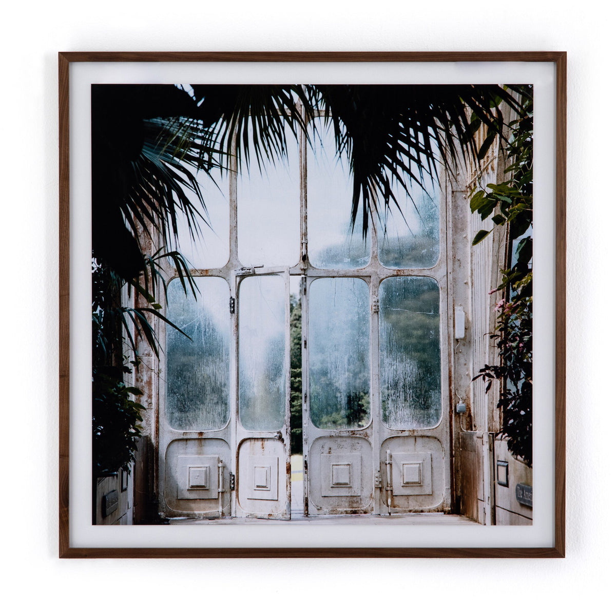 Greenhouse Ii By Annie Spratt Framed Paper