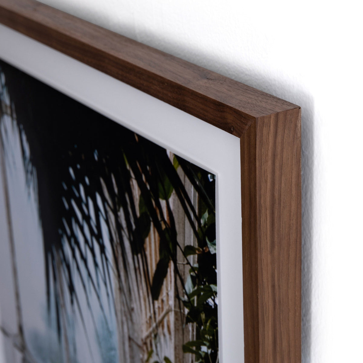 Greenhouse Ii By Annie Spratt Framed Paper