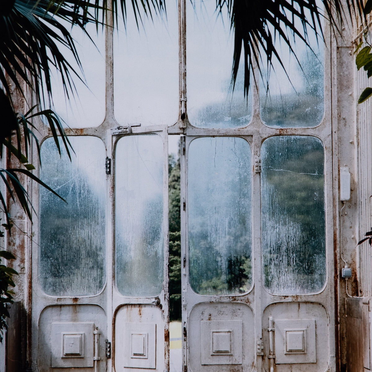 Greenhouse Ii By Annie Spratt Framed Paper