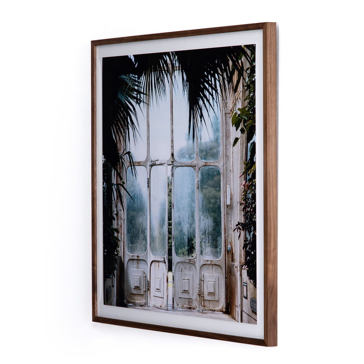 Greenhouse Ii By Annie Spratt Framed Paper