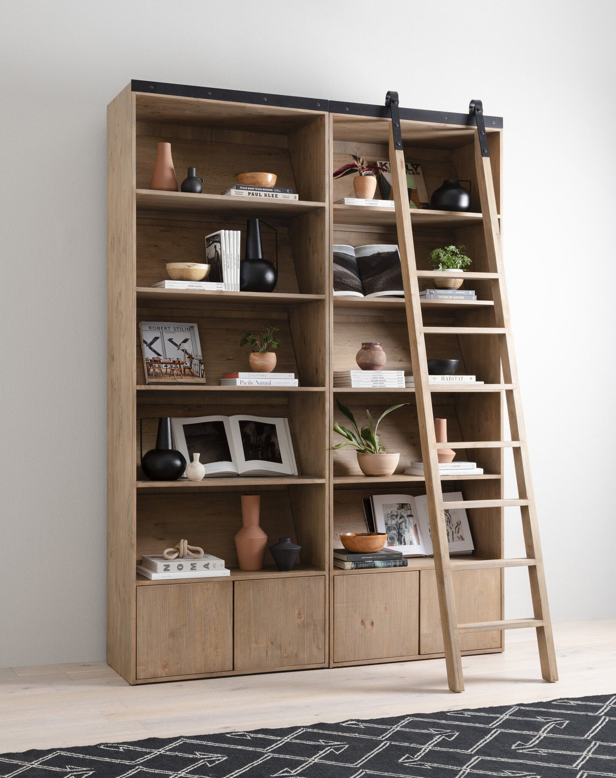 Bane Bookshelf & Ladder