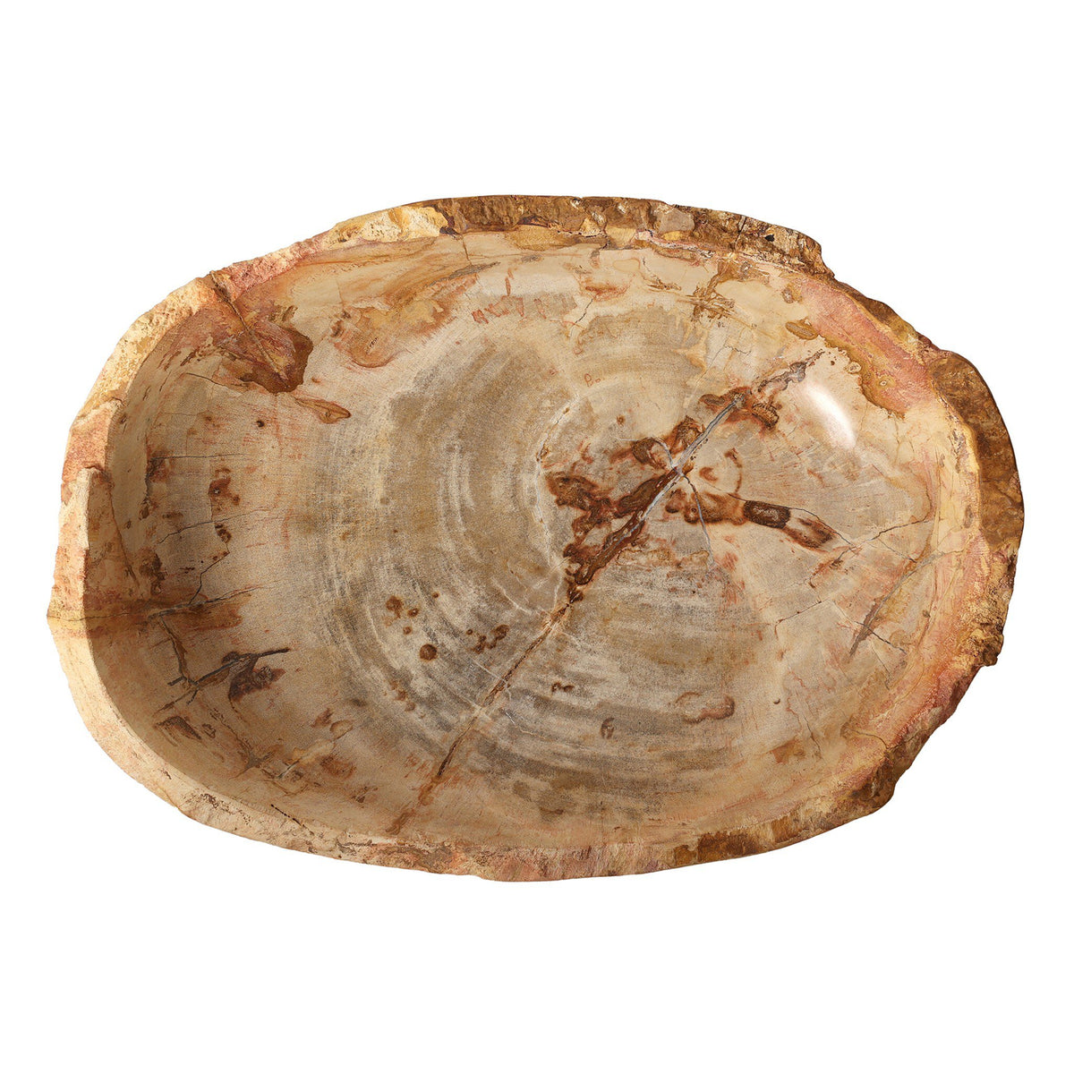 Oval Petrified Wood Bowl