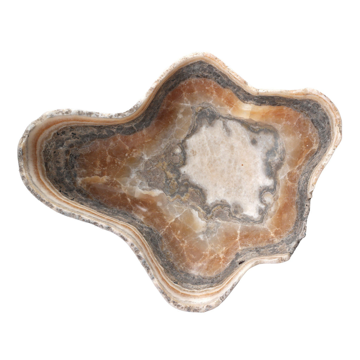 Oval Petrified Wood Bowl