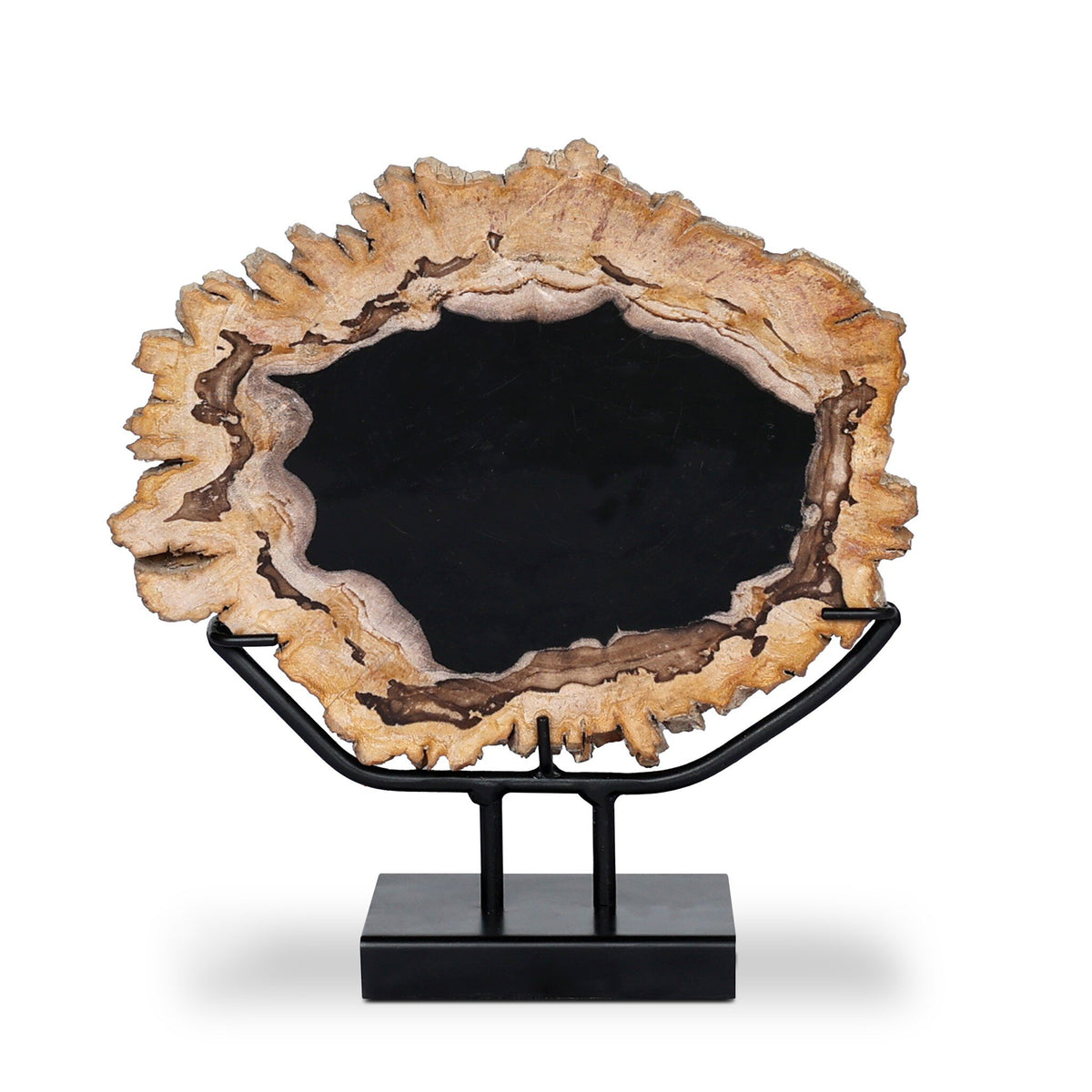 Petrified Wood Sculpture