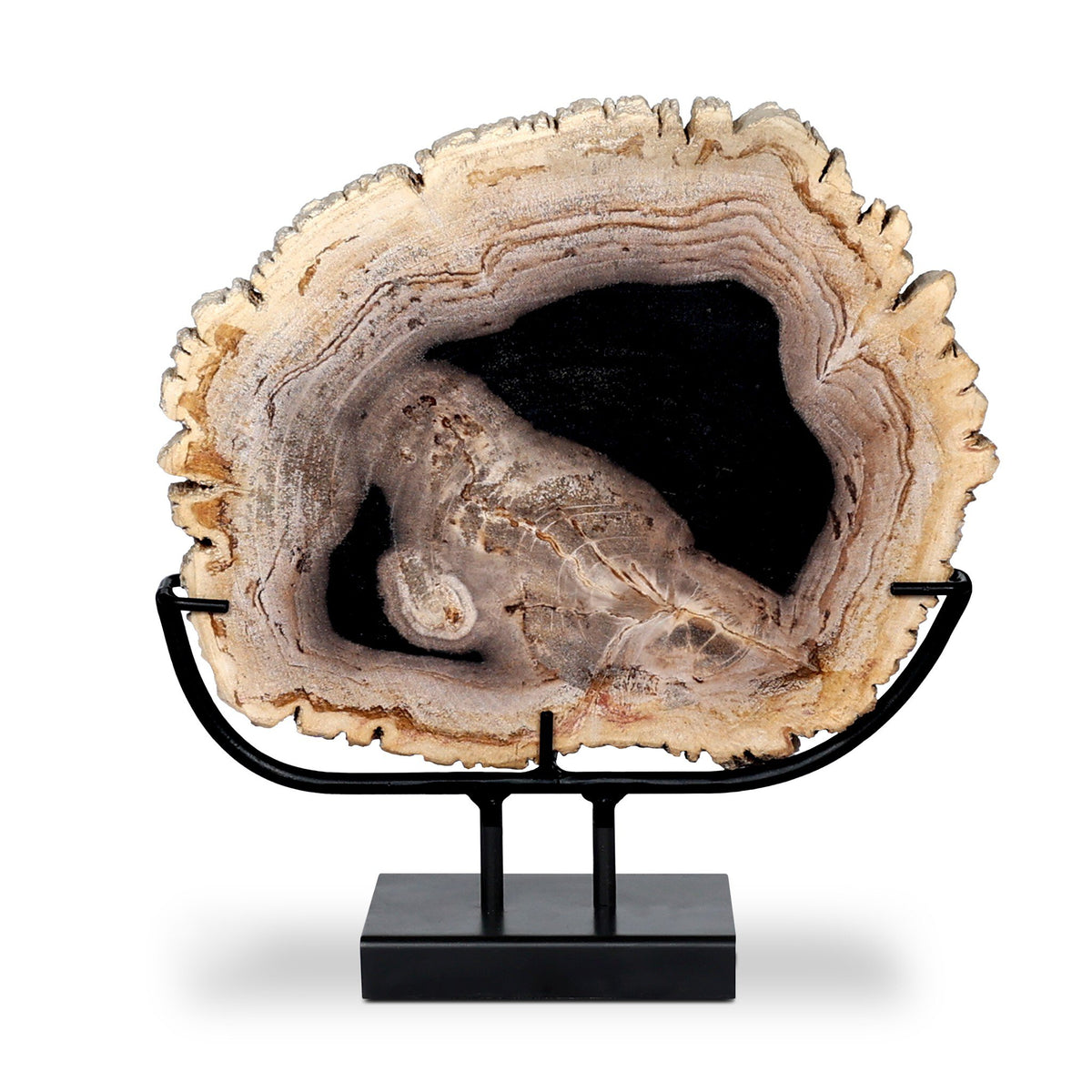 Petrified Wood Sculpture