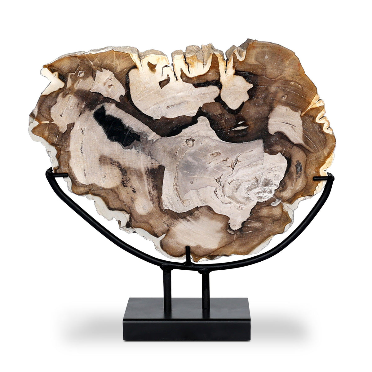 Petrified Wood Sculpture