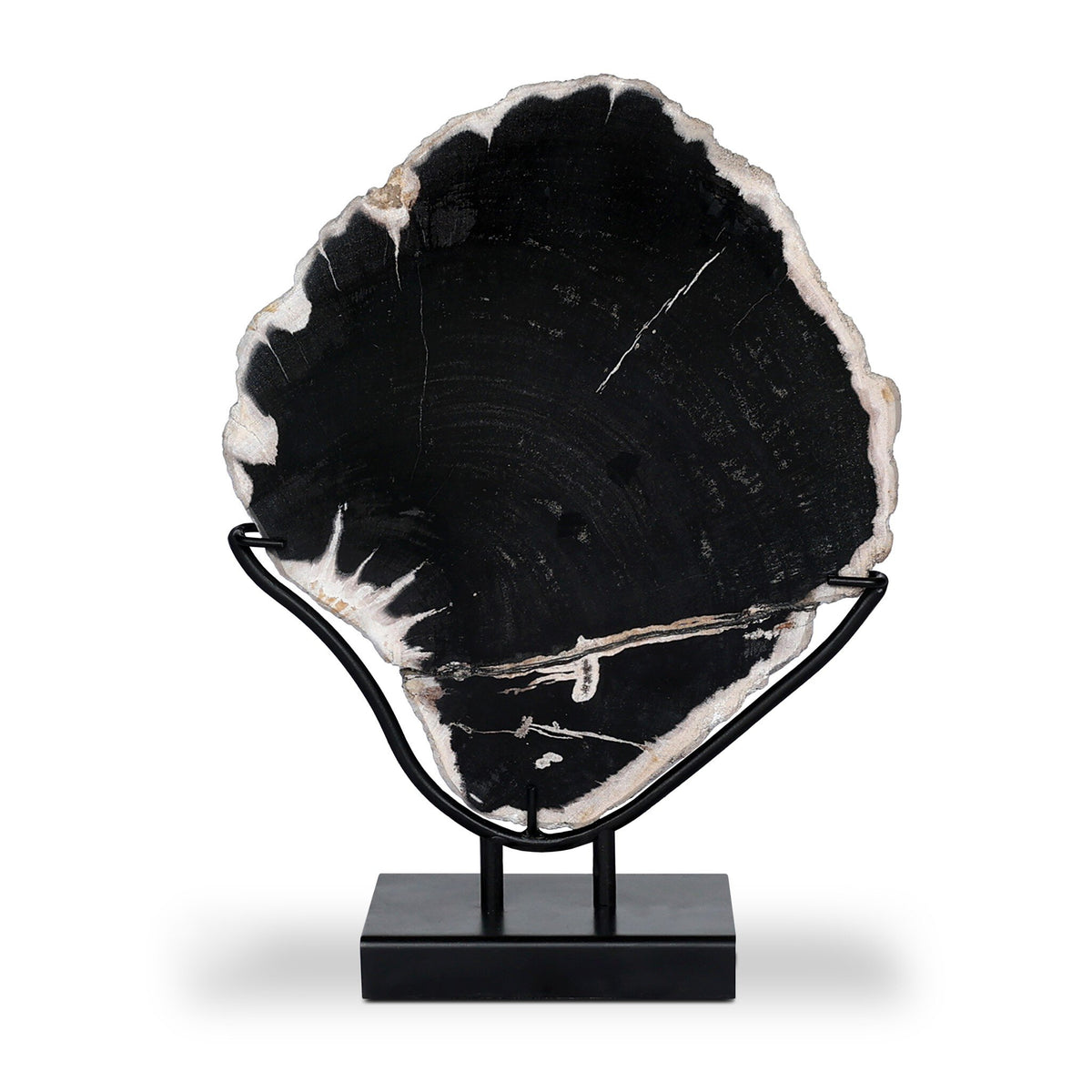 Petrified Wood Sculpture
