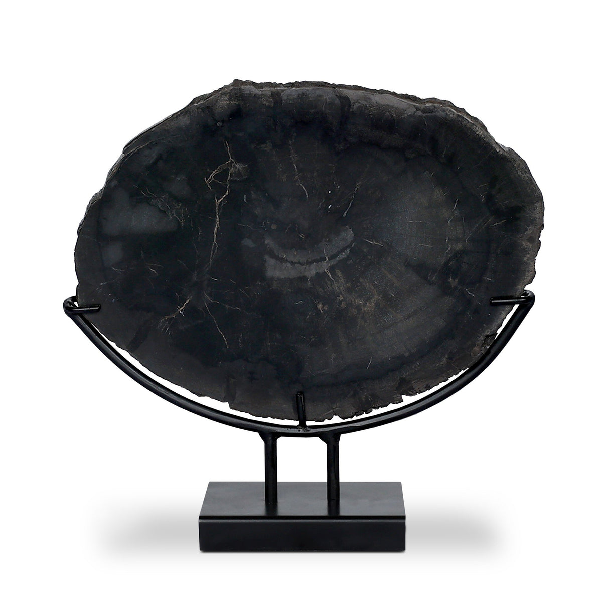 Petrified Wood Sculpture