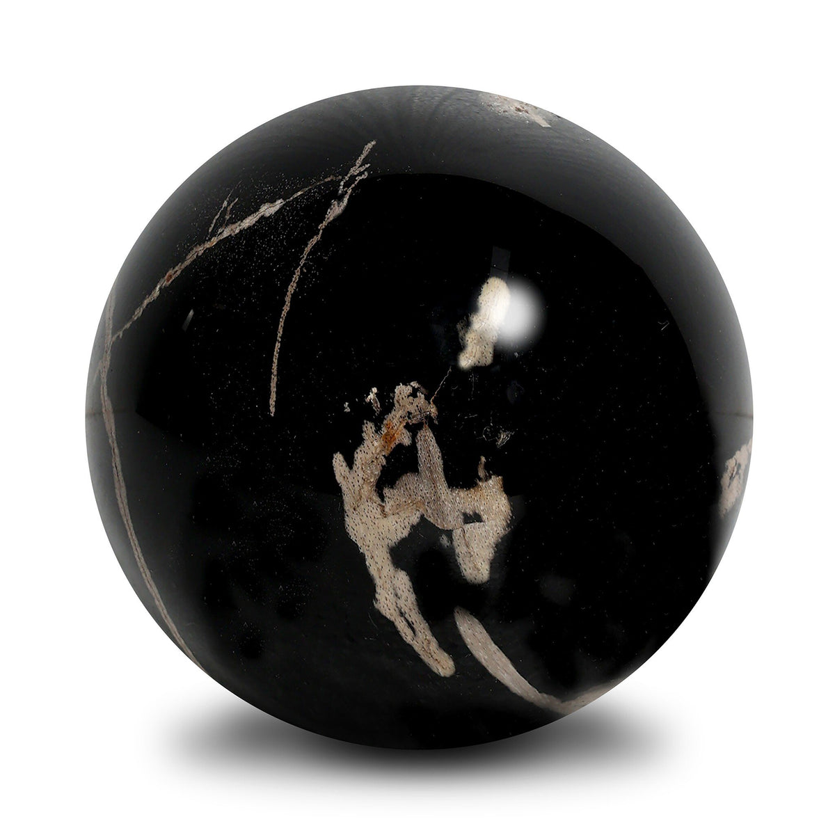 Petrified Wood Balls, Set Of 3