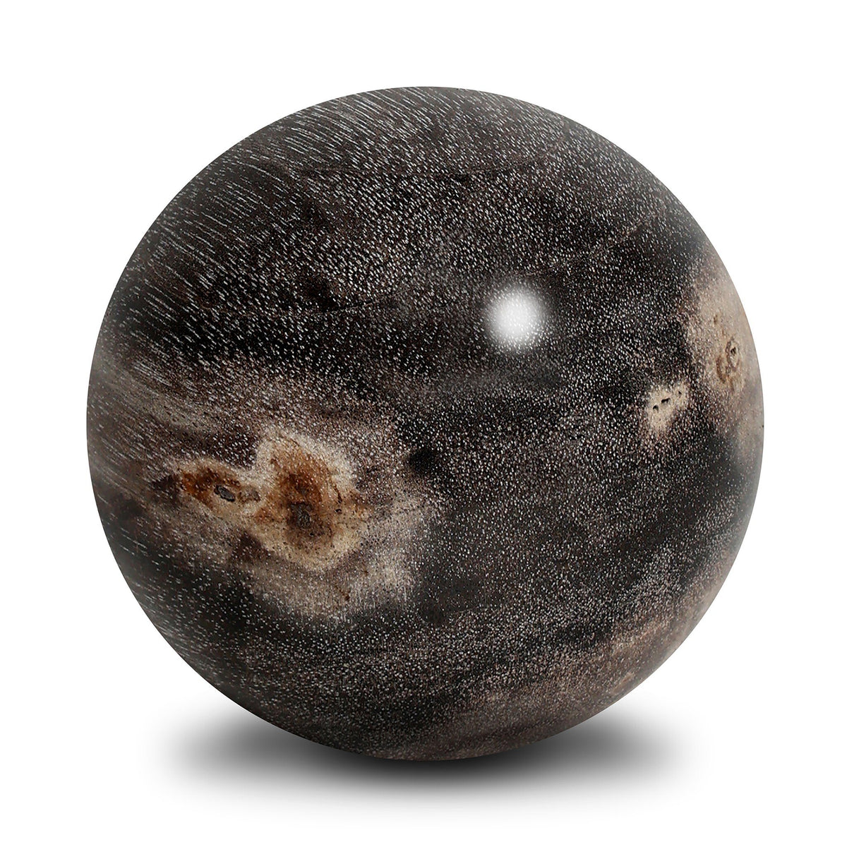 Petrified Wood Balls, Set Of 3