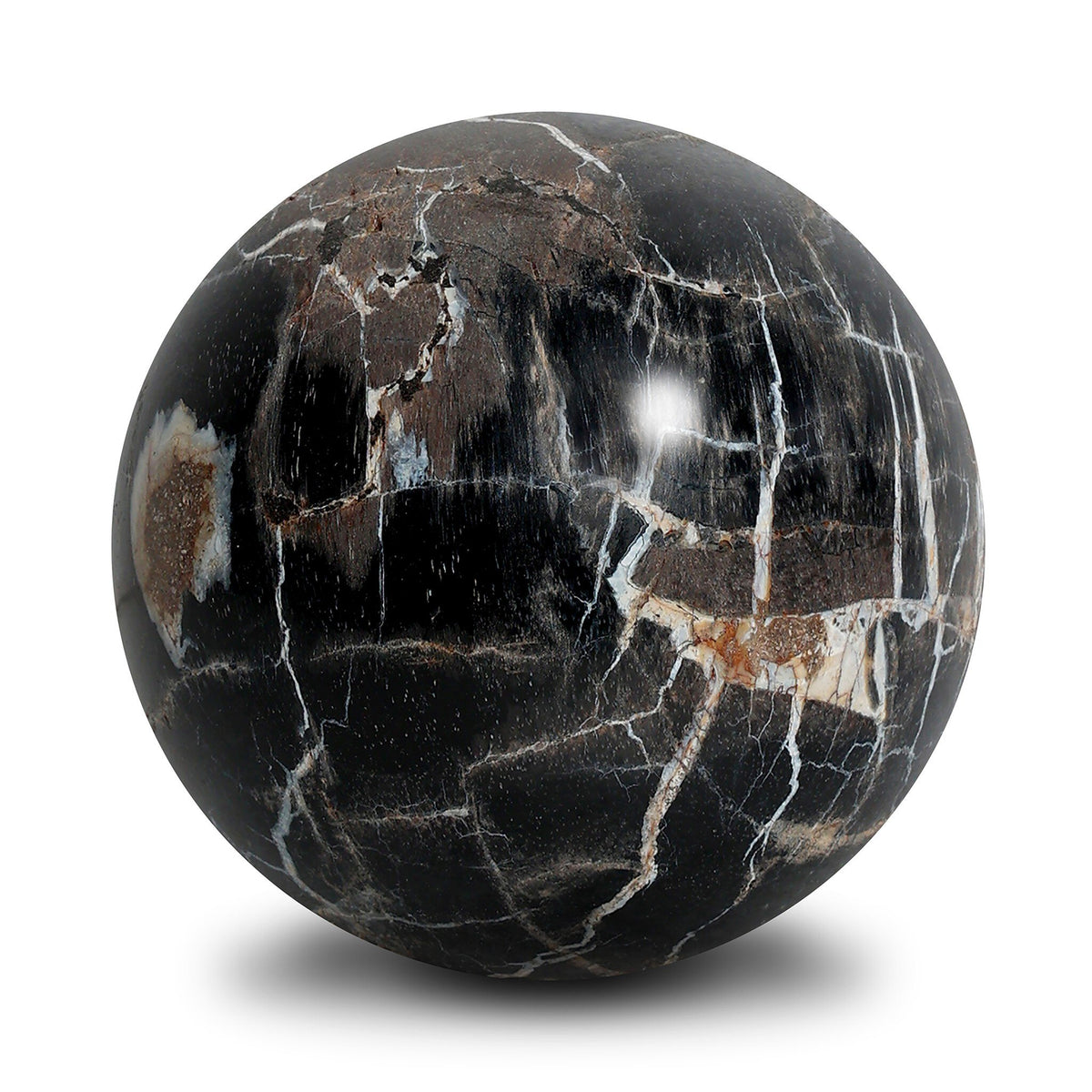 Petrified Wood Balls, Set Of 3