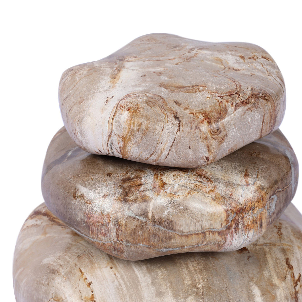 Petrified Wood Organic Sculpture, Set Of 3