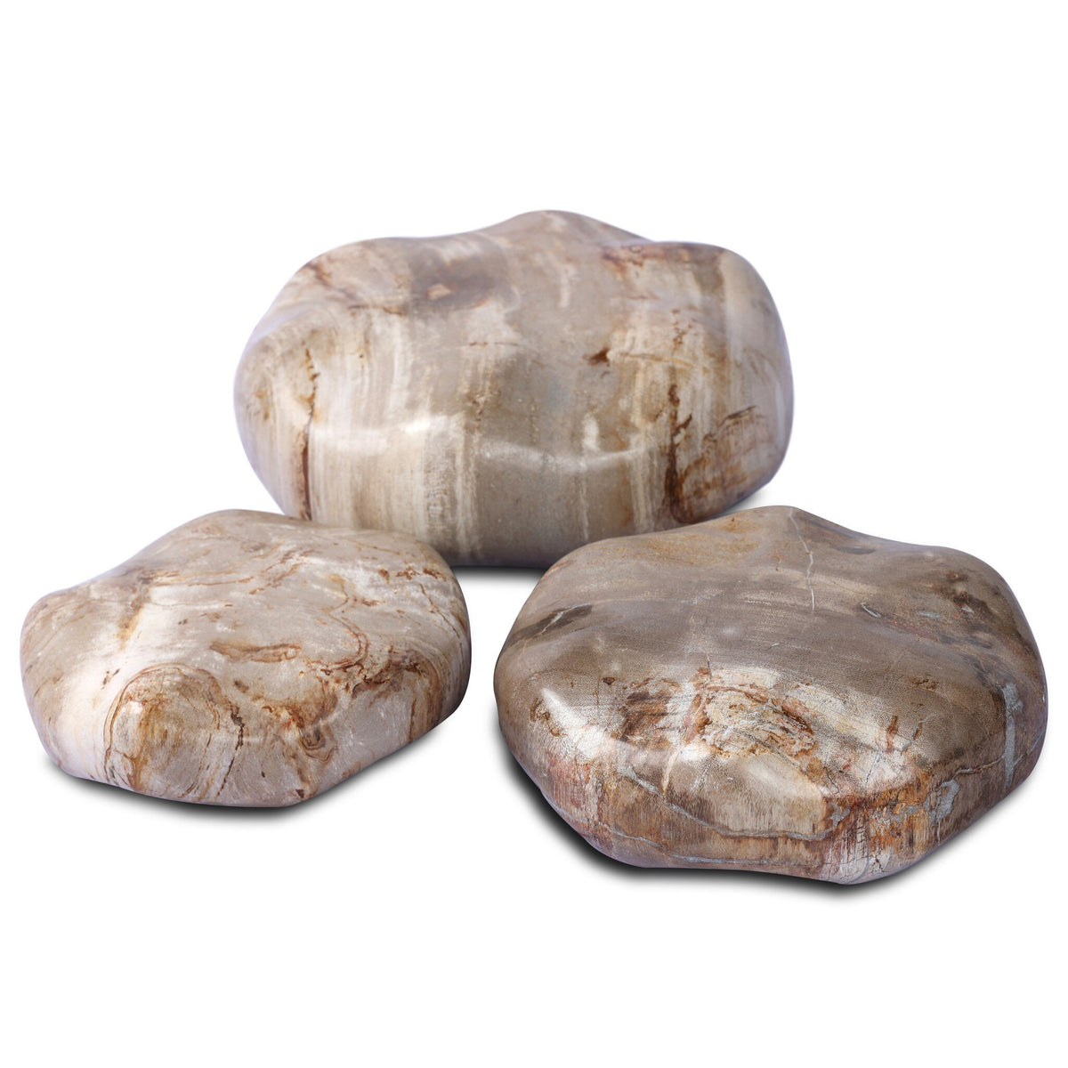 Petrified Wood Organic Sculpture, Set Of 3