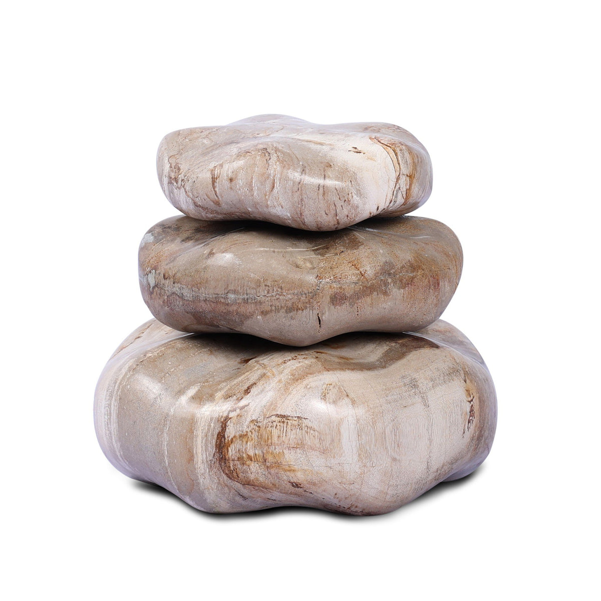 Petrified Wood Organic Sculpture, Set Of 3