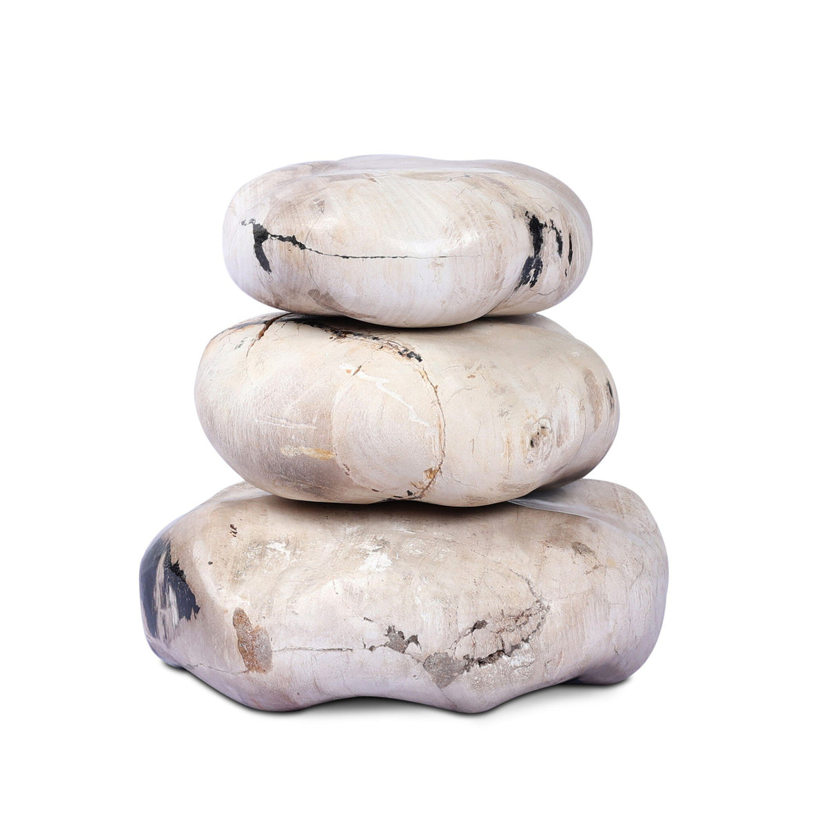 Petrified Wood Organic Sculpture, Set Of 3