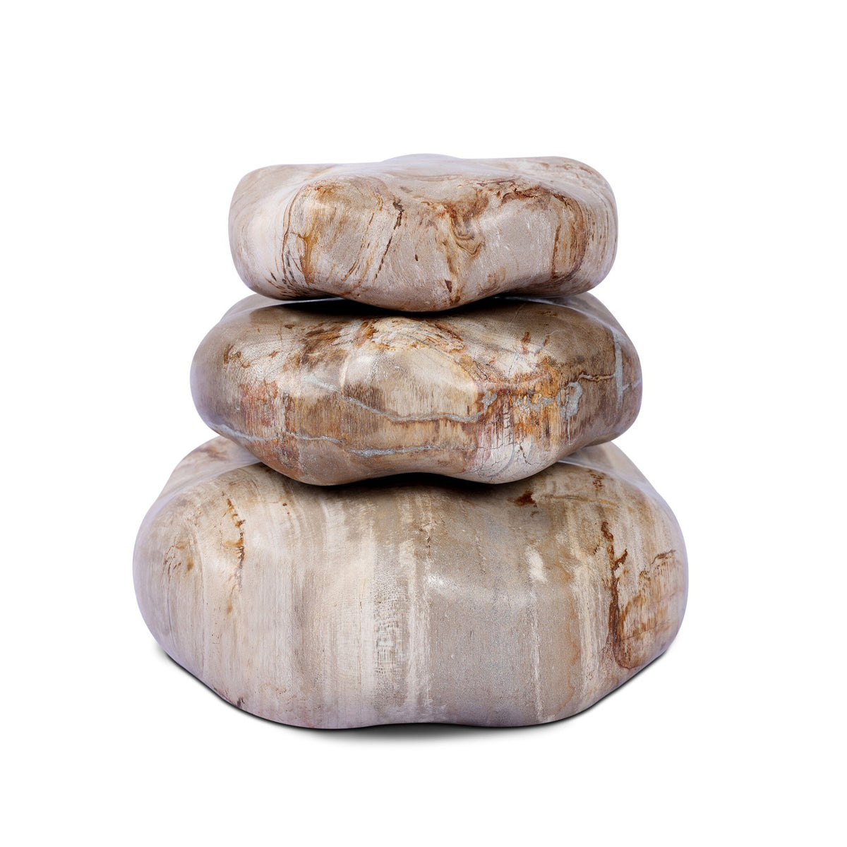Petrified Wood Organic Sculpture, Set Of 3
