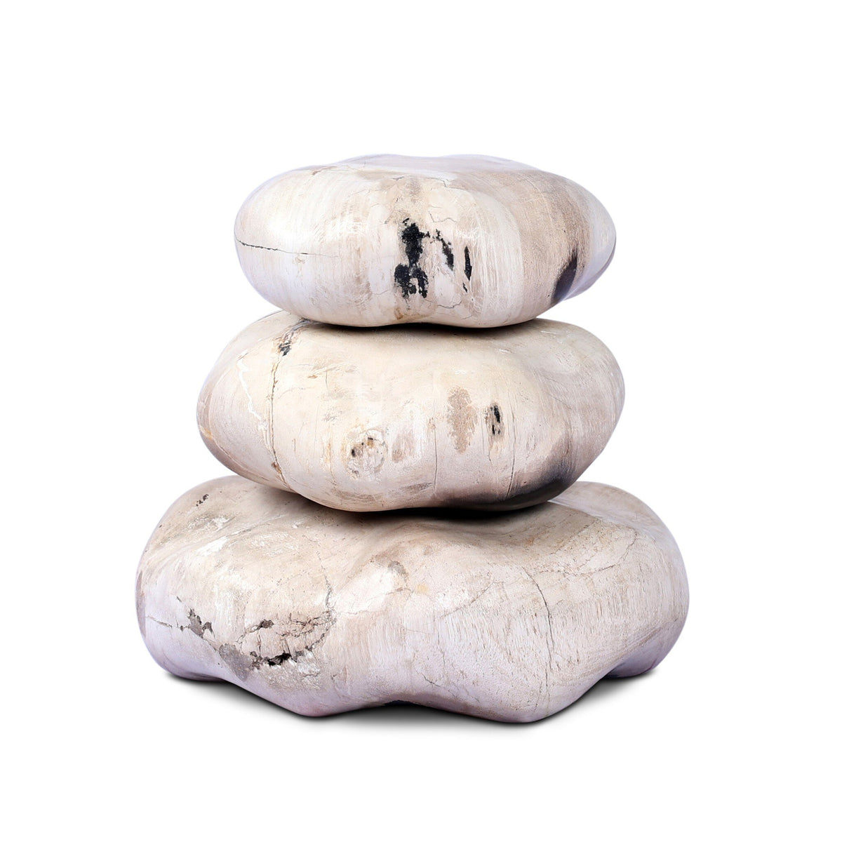 Petrified Wood Organic Sculpture, Set Of 3