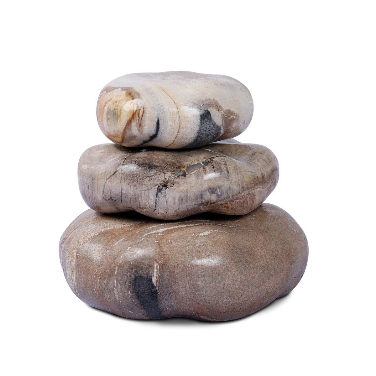 Petrified Wood Organic Sculpture, Set Of 3