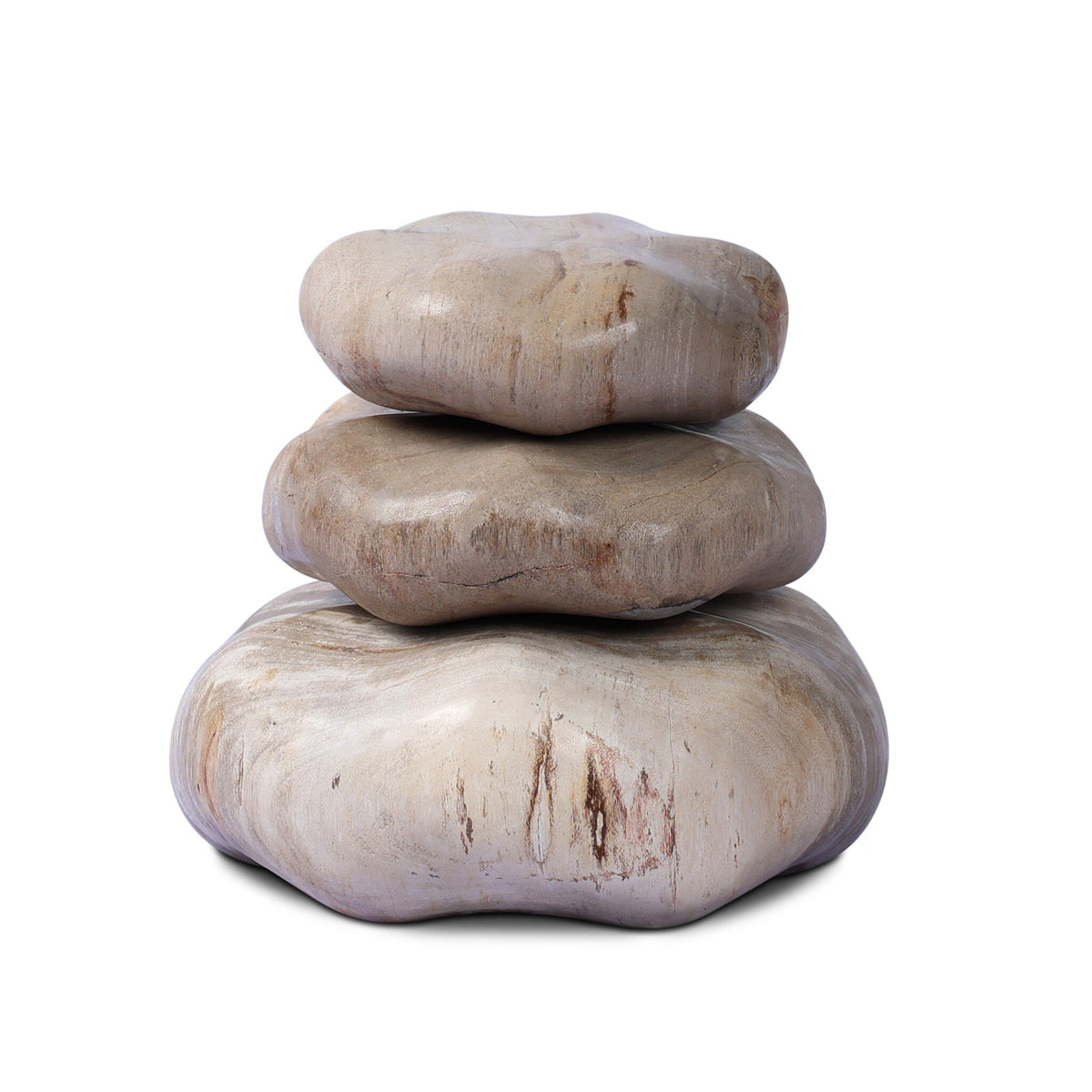 Petrified Wood Organic Sculpture, Set Of 3