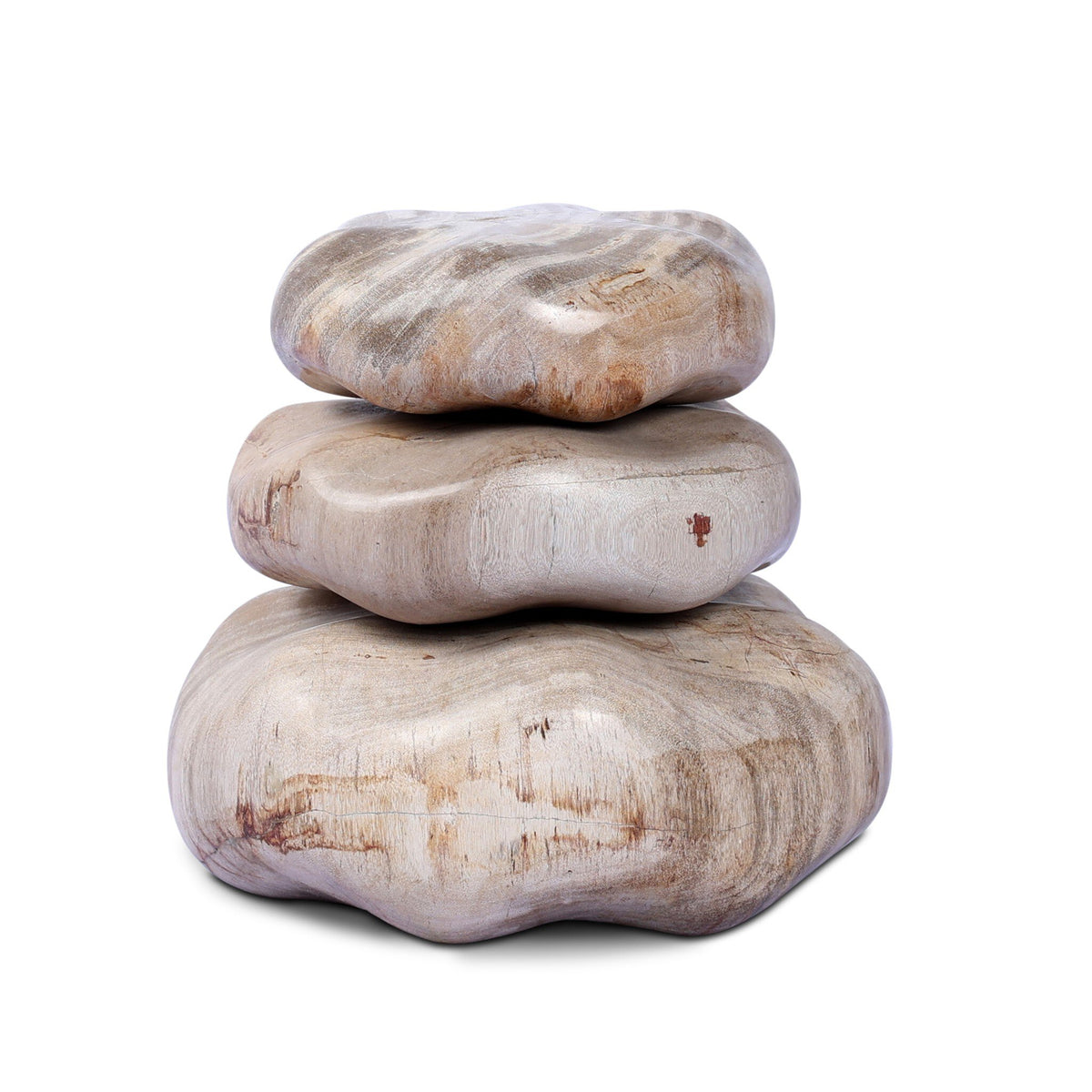 Petrified Wood Organic Sculpture, Set Of 3